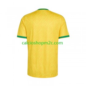 Sudafrica Maglia Prima World Cup 2026 Manica Corta